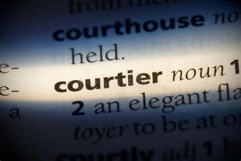 Meaning of courtier – Learner’s Dictionary 